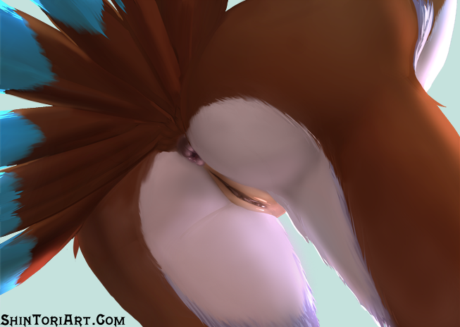 653px x 464px - Anthro avian pussy TOP image free.
